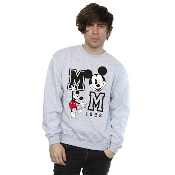 Disney Herr Hopp och Blinka Musse Pigg Sweatshirt S Sports Grey Sports Grey S