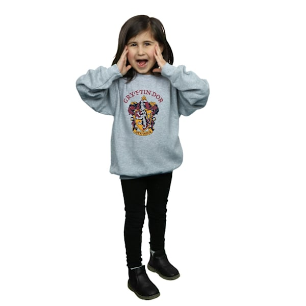 Harry Potter T-shirt för flickor Gryffindor Bomull 5-6 år Sport Sports Grey 5-6 Years