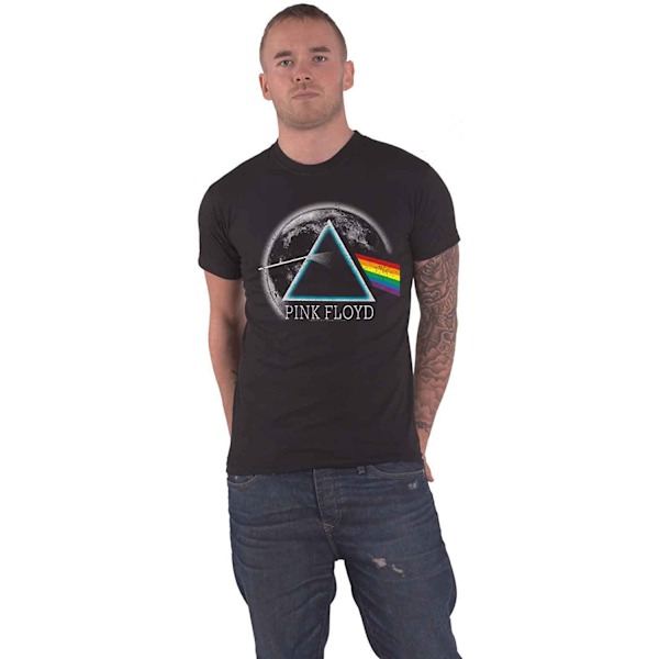 Pink Floyd Unisex Adult Dark Side Of The Moon Distressed T-Shir Black/Blue/White L