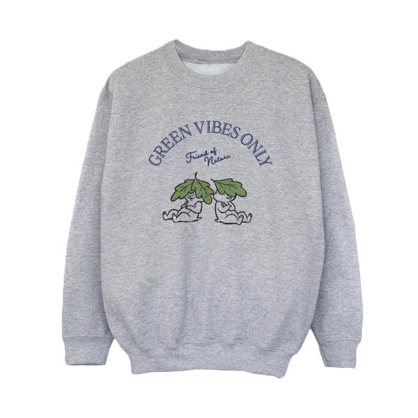 Disney Boys Chip 'n Dale Green Vibes Only Sweatshirt 9-11 år Sports Grey 9-11 Years