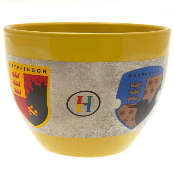 Harry Potter Hogwarts Hus Mugg utan handtag En Storlek Flerfärgad Multicoloured One Size