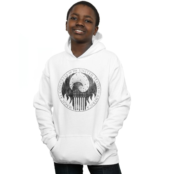 Fantastic Beasts Boys Distressed Magical Congress Hoodie 12-13 White 12-13 Years