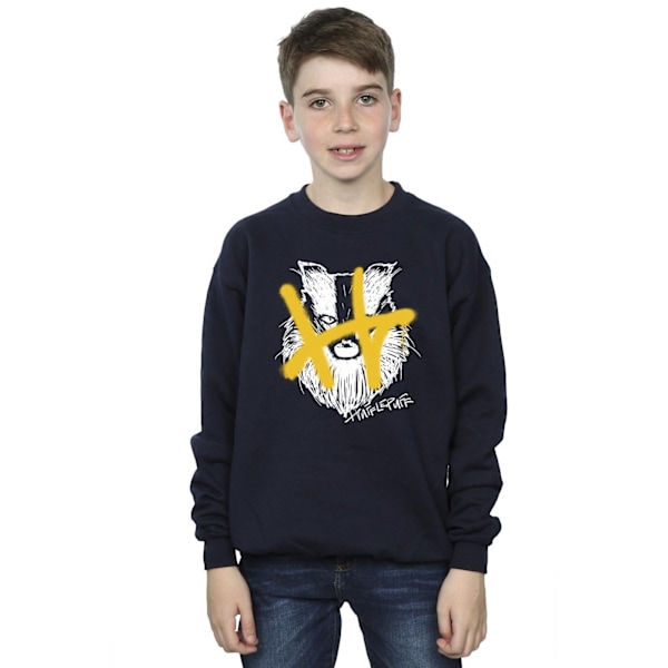 Harry Potter Boys Hufflepuff Pop Spray Sweatshirt 12-13 år N Navy Blue 12-13 Years