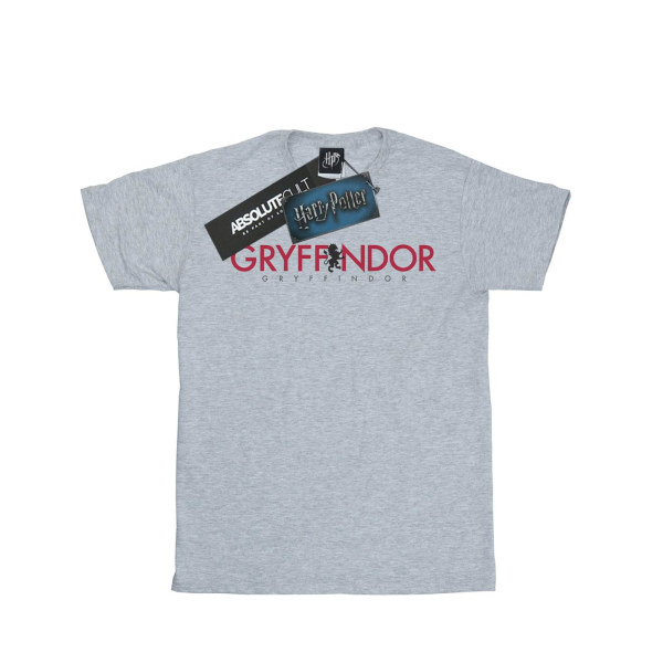Harry Potter Boys Gryffindor Text T-Shirt 9-11 år Sports Grå Sports Grey 9-11 Years