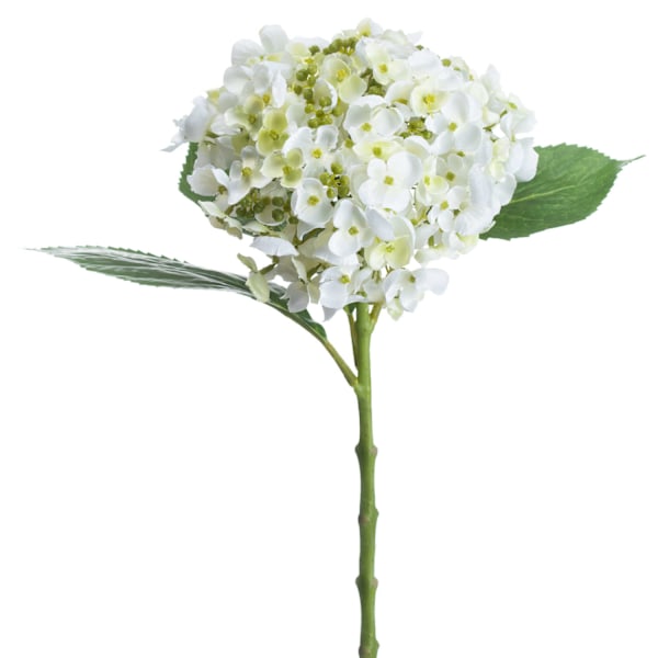 Hill Interiors Konstgjord spetsmössa Hortensia Stjälk En Storlek Whii Whiite One Size