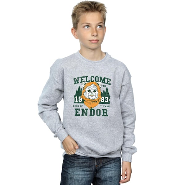 Star Wars Boys Endor Camp Sweatshirt 5-6 år Sports Grey Sports Grey 5-6 Years