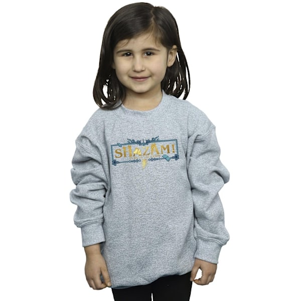 DC Comics Girls Shazam Fury Of The Gods Golden Logo Sweatshirt Sports Grey 3-4 Years