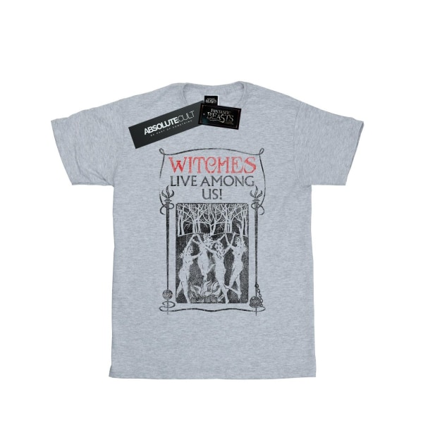 Fantastic Beasts Girls Witches Live Among Us T-shirt i bomull 9-1 Sports Grey 9-11 Years