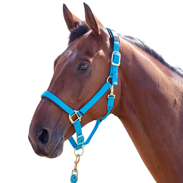 Shires Topaz Nylon Hästgrimma XX Small Pony Blå Blue XX Small Pony