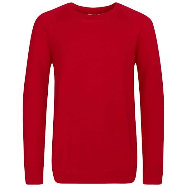 Awdis Barn/Barn Akademi Raglan Sweatshirt 13 År Röd Red 13 Years