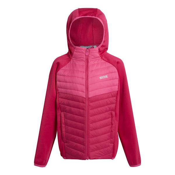 Regatta Barn/Barn Kielder VIII Hybrid Jacka 9-10 År Pi Pink Potion/Flamingo Pink 9-10 Years