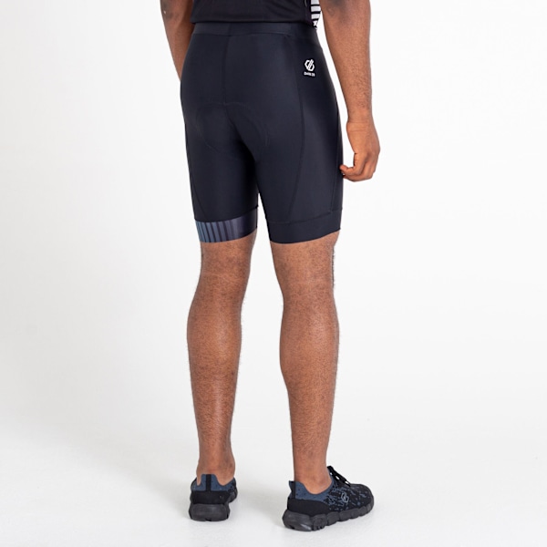 Dare 2B Virtuous Wool Effect Cykelbyxor XL Svart Black XL