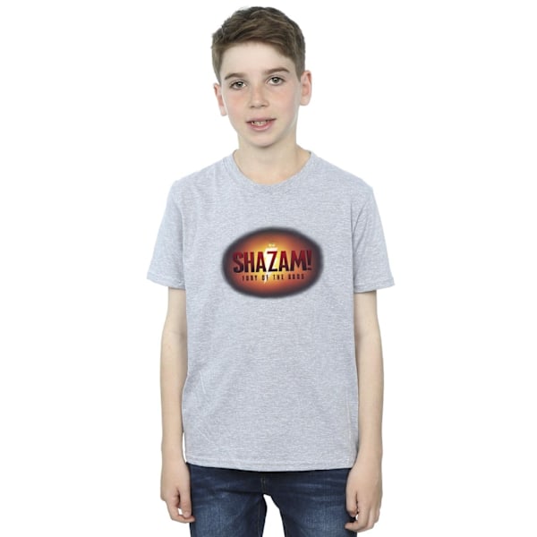 DC Comics Boys Shazam Fury Of The Gods 3D Logo Flare T-Shirt 12 Sports Grey 12-13 Years