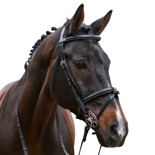 Whitaker Valencia Super Deluxe Mexikanskt Läder Hästträns Wit Black Cob