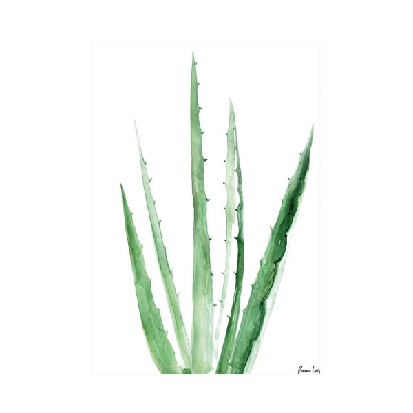 Rosana Laiz Aloe Vera Print 40cm x 30cm Grön/Vit Green/White 40cm x 30cm