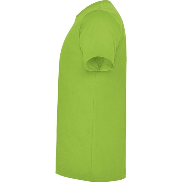 Roly Herr Dogo Premium T-shirt S Oasis Grön Oasis Green S