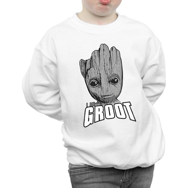 Marvel Boys Guardians Of The Galaxy Groot Face Sweatshirt 7-8 år White 7-8 Years