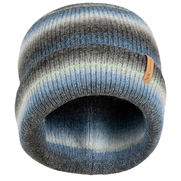 Trespass Unisex Vuxen Chevron Mössa One Size Blå Blue One Size