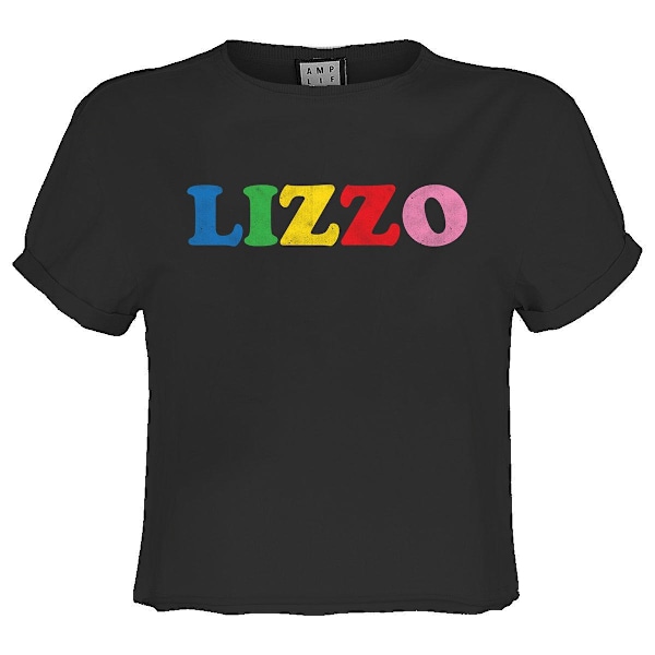 Amplified Womens/Ladies Lizzo Crop T-Shirt XL Charcoal Charcoal XL