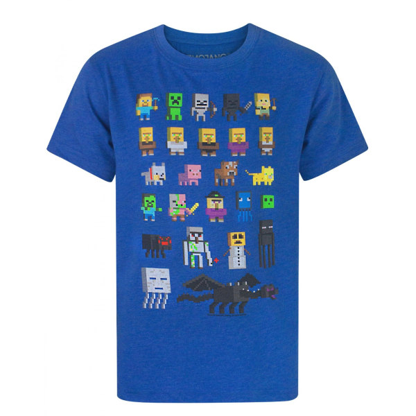 Minecraft barn/barn Sprites T-shirt 12-13 år svart Black 12-13 Years