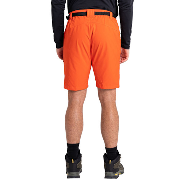 Dare 2B Tuned In Pro Lätta Cargo Shorts för Män 46R Trail Bl Trail Blaze Orange 46R