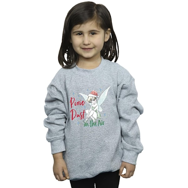 Disney Girls Tinker Bell Pixie Dust Sweatshirt 3-4 år Sport Sports Grey 3-4 Years