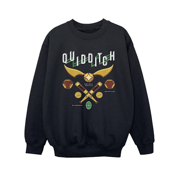 Harry Potter Quidditch Bludgers Quaffles Sweatshirt för pojkar 9-11 år Black 9-11 Years