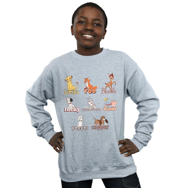 Disney Boys Little Friends Animals Sweatshirt 3-4 år Sport Sports Grey 3-4 Years