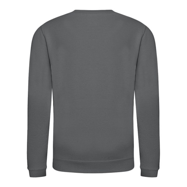 AWDis Just Hoods Barn/Barn Ungdom Enfärgad Sweatshirt med Rund Hals 5-6 Storm Grey 5-6 Years