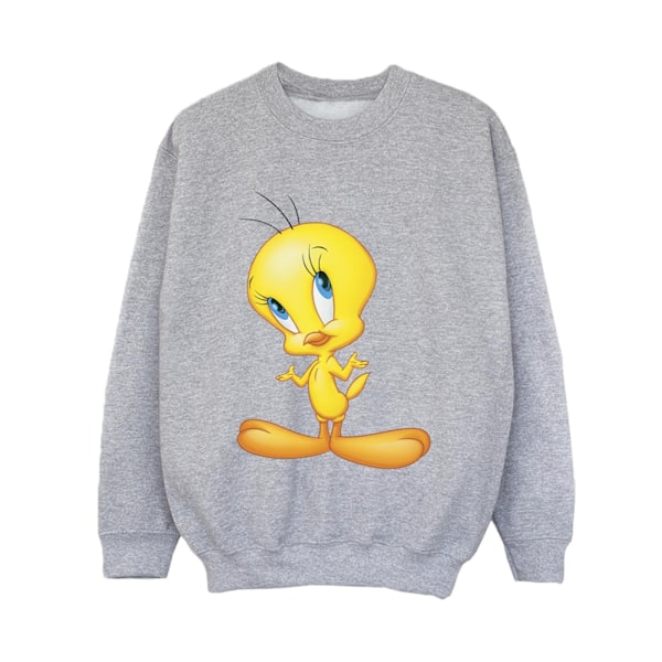 Looney Tunes Boys Tweety Stående Sweatshirt 5-6 År Sports G Sports Grey 5-6 Years