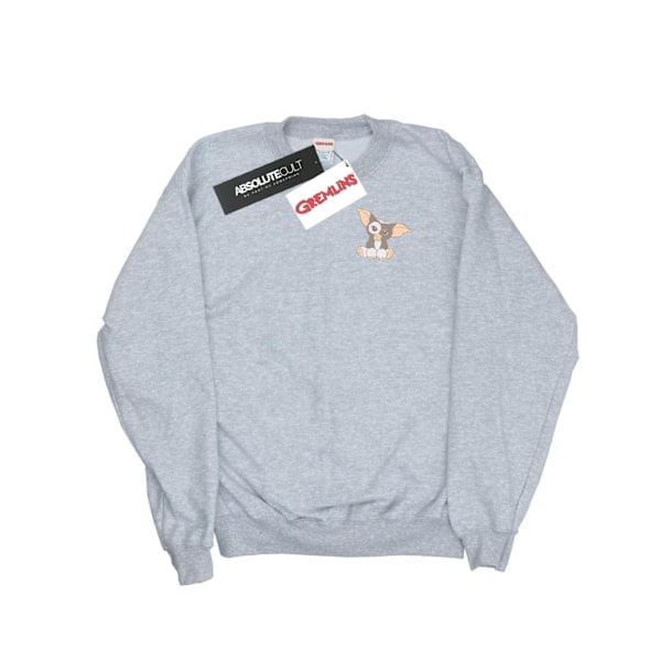 Gremlins Dam/Kvinnor Gizmo Bröst Sweatshirt L Heather Grey Heather Grey L