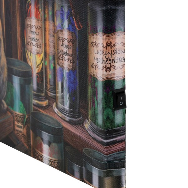 Lisa Parker Magical Emporium Canvas Inramad Plaque One Size Mult Multicoloured One Size