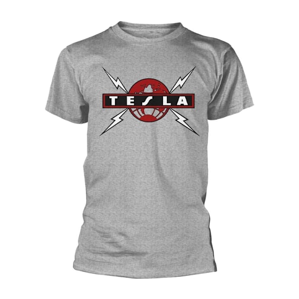 Tesla Unisex Vuxen Globe T-Shirt S Grå Grey S