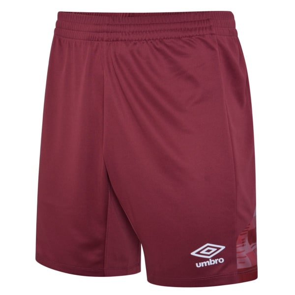 Umbro Herr Vier Shorts L Himmelsblå/Vit Sky Blue/White L