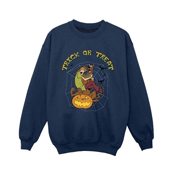 Scooby Doo Pojkar Trick Or Treat Sweatshirt 3-4 År Marinblå Navy Blue 3-4 Years