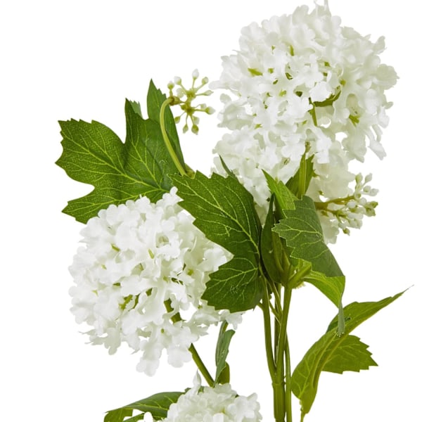Hill Interiors Snöbolls Viburnum Konstgjord Blomsterspray 77cm C Cream 77cm