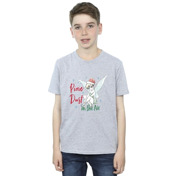 Disney Boys Tinker Bell Pixie Dust T-shirt 12-13 år Sport Grå Sports Grey 12-13 Years