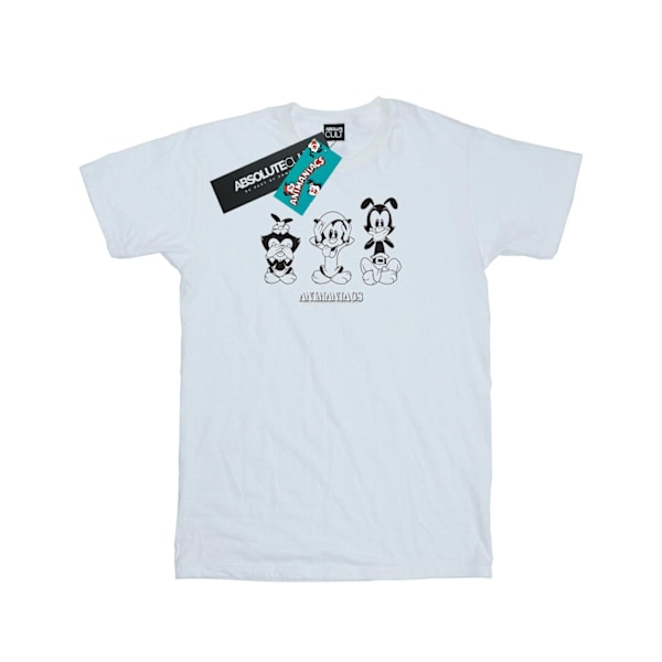 Animaniacs Herr T-shirt med tre onda 3XL Vit White 3XL