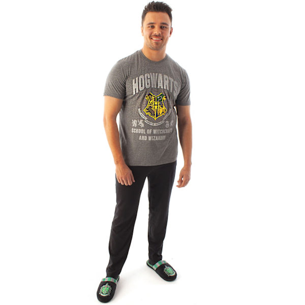 Harry Potter Hogwarts T-shirt för män, L, kolgrå Charcoal L