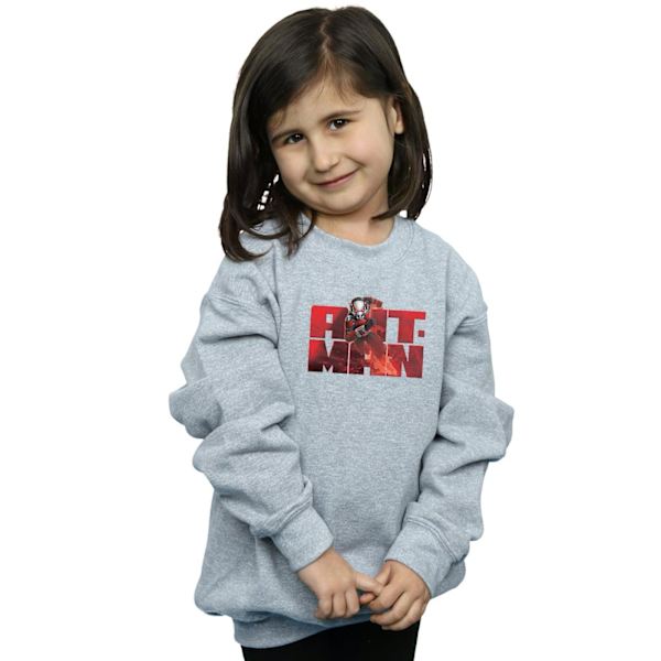 Marvel Girls Ant-Man Löpartröja 5-6 År Sports Grey Sports Grey 5-6 Years