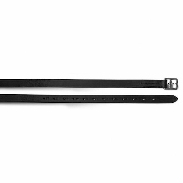Blenheim Häst Stigläder 61in Svart Black 61in