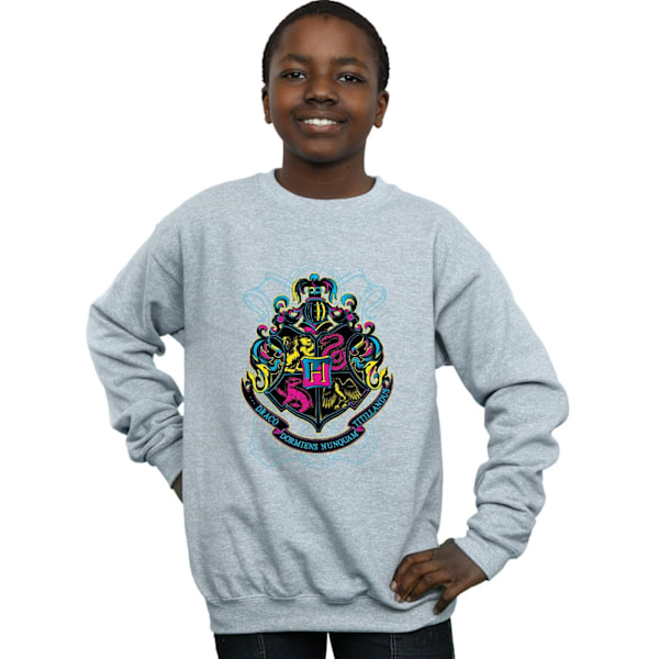 Harry Potter Boys Neon Hogwarts Crest Sweatshirt 12-13 år Sp Sports Grey 12-13 Years