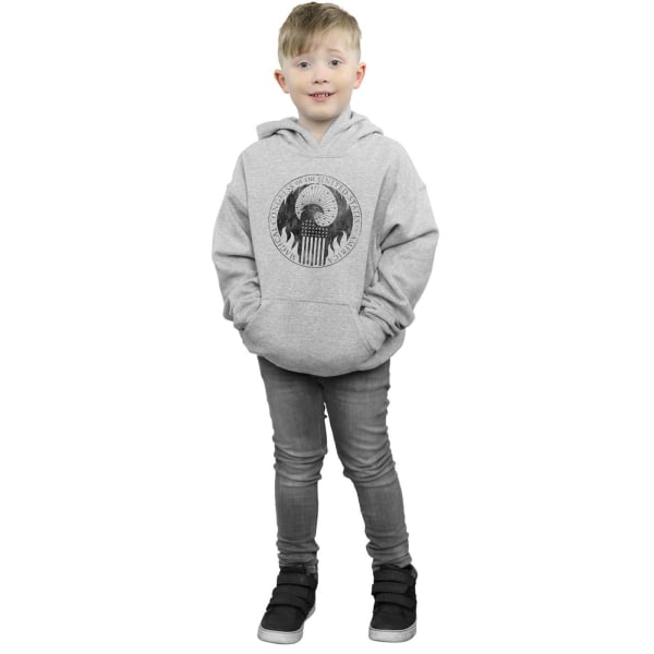 Fantastiska vidunder Pojkar Distressed Magical Congress Hoodie 7-8 år Sports Grey 7-8 Years