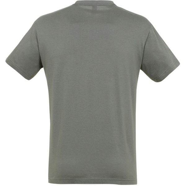 SOLS Regent Kortärmad T-shirt för män L Zink Zinc L