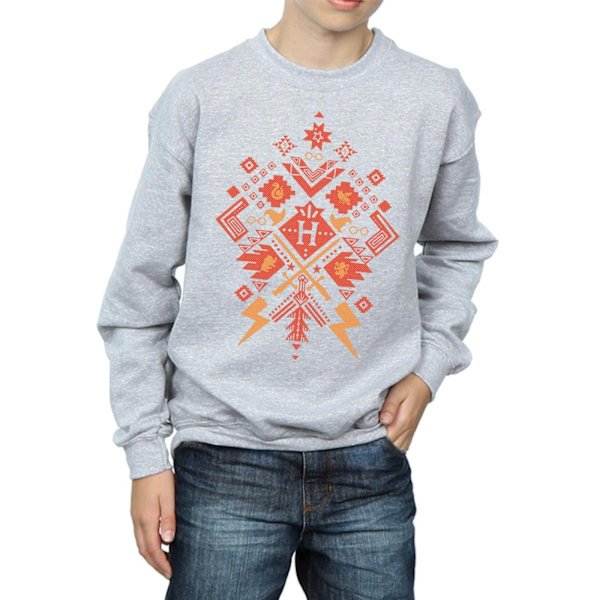 Harry Potter Pojkar Jul Fair Isle Sweatshirt 12-13 År Sp Sports Grey 12-13 Years