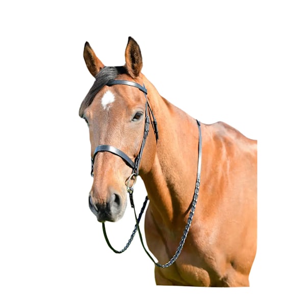 Kincade Classic Läder Häst Flat Hunt Bridle Med Tyglar Cob B Black Cob