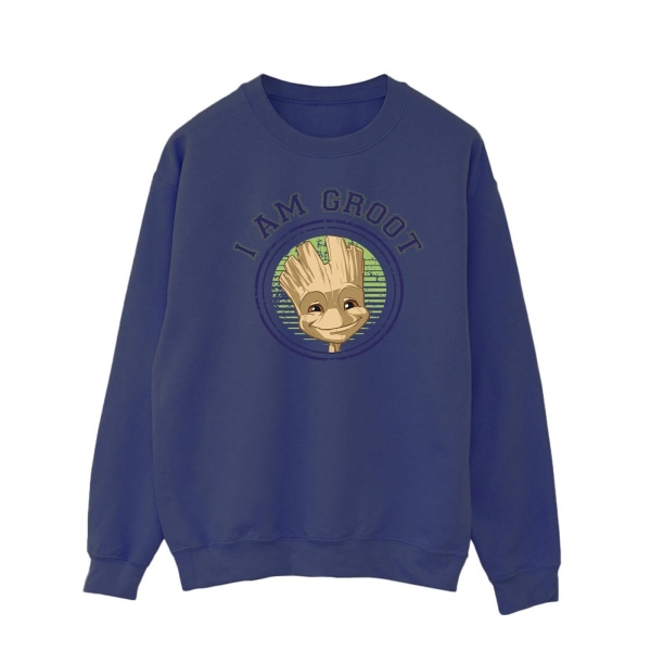 Guardians Of The Galaxy Herr Groot Varsity Sweatshirt S Marinblå Bl Navy Blue S
