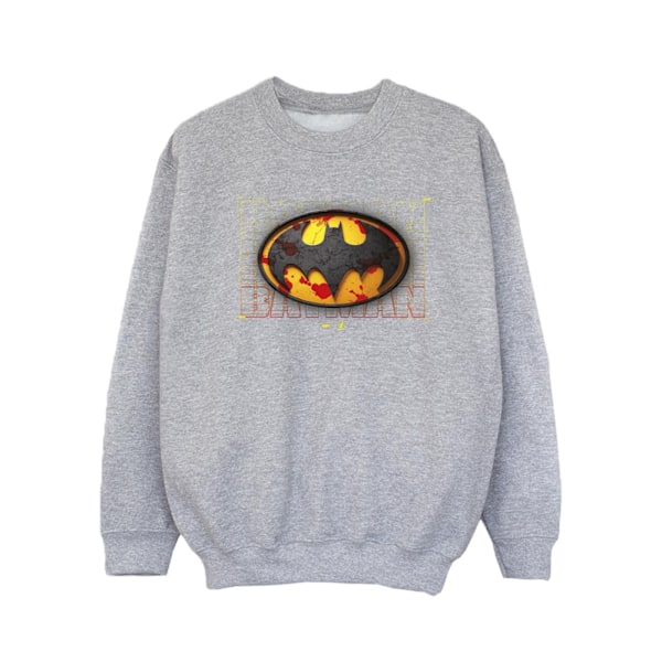 DC Comics Girls The Flash Batman Red Splatter Sweatshirt 5-6 år Sports Grey 5-6 Years