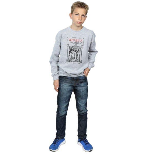 Fantastic Beasts Boys Witches Live Among Us Sweatshirt 5-6 år Sports Grey 5-6 Years