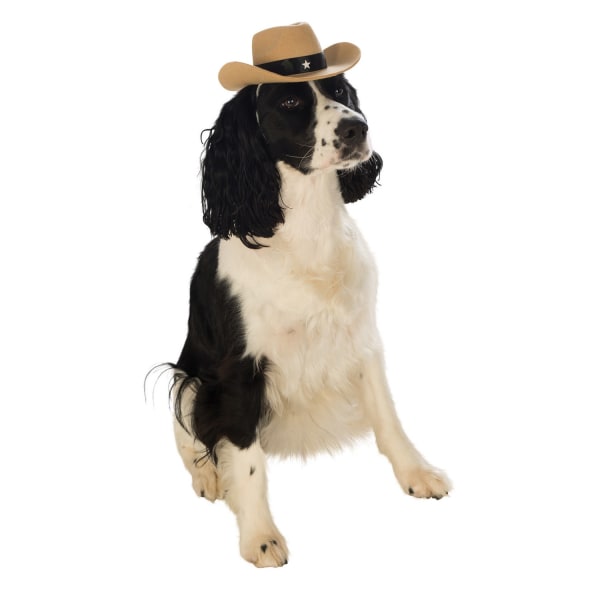 Bristol Novelty Cowboy Hat Hund Kostym S-M Cream/Svart Cream/Black S-M